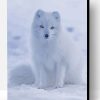 Baby Arctic Fox in Snow Paint By Numbers