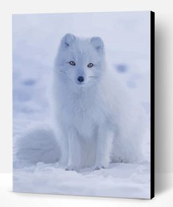 Baby Arctic Fox in Snow Paint By Numbers