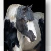 Beautiful Cob Horse Paint By Number