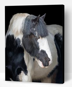 Beautiful Cob Horse Paint By Number