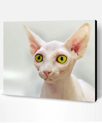 Beautiful Eyes Hairless Cat Paint By Number