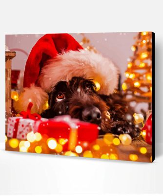 Black Dog at Christmas Paint By Numbers