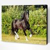 Black English Plow Horse Paint By Numbers