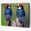 Black Male and Female Woodpecker Paint By Numbers