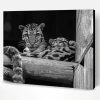 Black And White Baby Tigers Paint By Number
