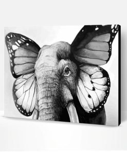 Black And White Elephant Butterfly Paint By Number