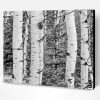 black And White Landscapes With Birch Trees Paint By Numbers