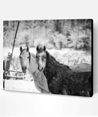 Black And White Farm Horses Paint By Number