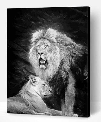 Black And White Lion And Lioness Paint By Number