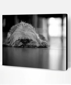 Black And White Shih Tzu Dog Paint By Number