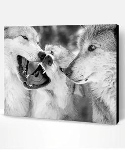 Black And White Wolves Face To Face Paint By Number