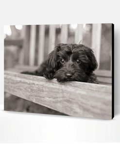 Black And White Yorkiepoo Paint By Number