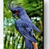 Black Cockatoo Bird Paint By Number