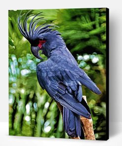 Black Cockatoo Bird Paint By Number