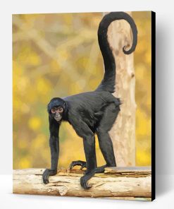 Black Spider Monkey Tail Paint By Numbers