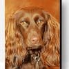 Brown Boykin Spaniel Dog Paint By Number
