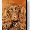 Brown Boykin Spaniel Dog Paint By Number