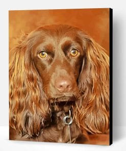 Brown Boykin Spaniel Dog Paint By Number