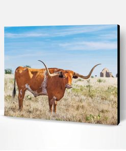 Brown Texas Longhorns Paint By Numbers