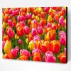 Colorful Tulip Field Landscape Paint By Numbers