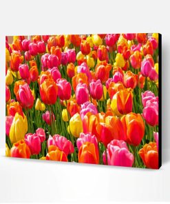 Colorful Tulip Field Landscape Paint By Numbers
