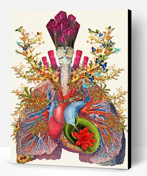 Colorful Anatomy Art Paint By Numbers