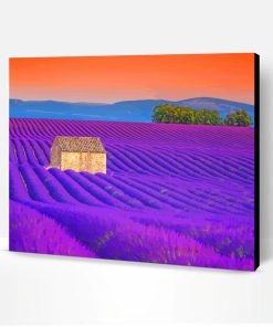Cottage and Lavender Field Paint By Numbers