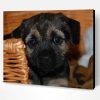 Cute Border Terrier Puppy Paint By Numbers