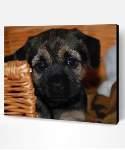 Cute Border Terrier Puppy Paint By Numbers