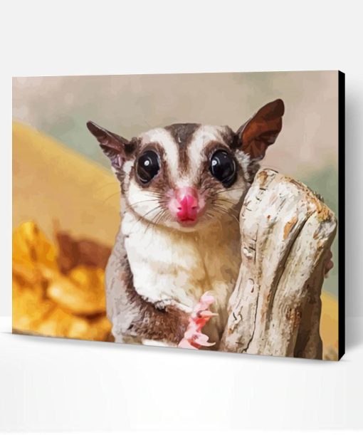 Cute Sugar Glider Animal Paint By Number