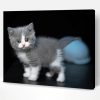 Cute Grey White Cat Paint By Number