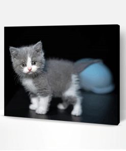 Cute Grey White Cat Paint By Number