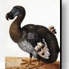 Dodo Paint By Numbers