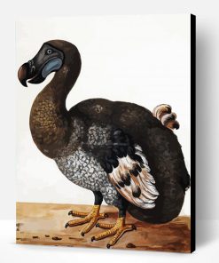 Dodo Paint By Numbers