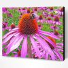 Echinacea Paint By Numbers