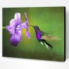 Flying Purple Hummingbird And Flower Paint By Number