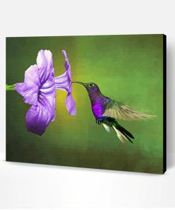 Flying Purple Hummingbird And Flower Paint By Number