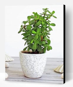 Green Jade Plant Paint By Number