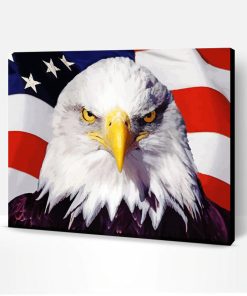 Mad Eagle With American Flag Paint By Number