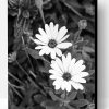 Monochhrome Black And White Flowers Paint By Number