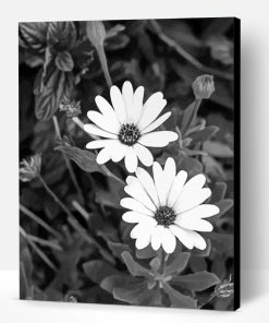 Monochhrome Black And White Flowers Paint By Number