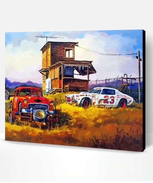 Old Stock Car Art Paint By Number