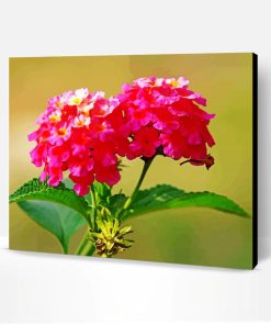 Pink Lantanas Flowers Paint By Number