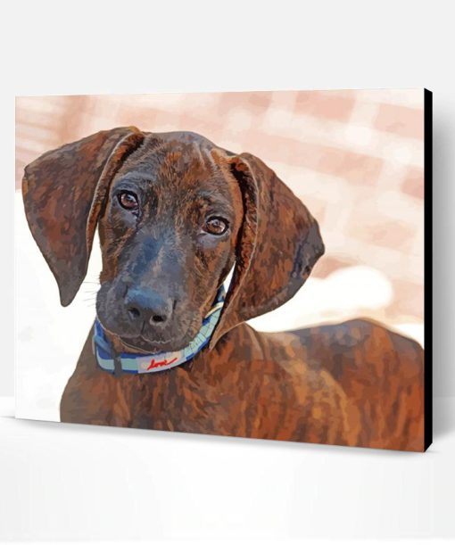 Plott Hound Dog Paint By Number