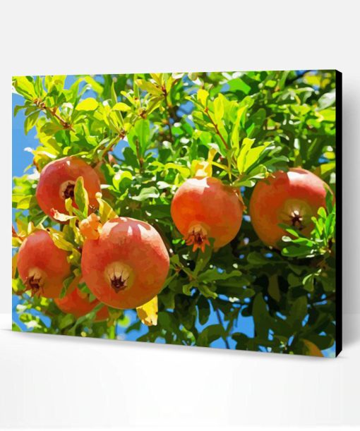 Pomegranate Fruit Tree Paint By Number