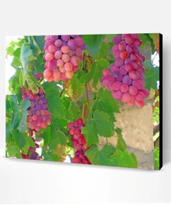 Purple Grape Vines Paint By Numbers
