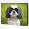 Shih Tzu Black And White Puppy Paint By Number