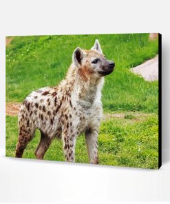 Spotted Hyena Animal Paint By Number