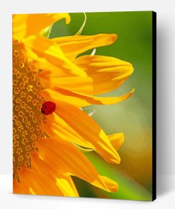 Sunflowers Ladybug Insect Paint By Numbers