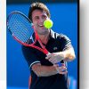 The Tennis Player Fabrice Santoro Paint By Numbers